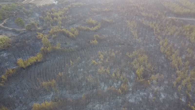 Çanakkale'deki orman yangını ikinci gününde