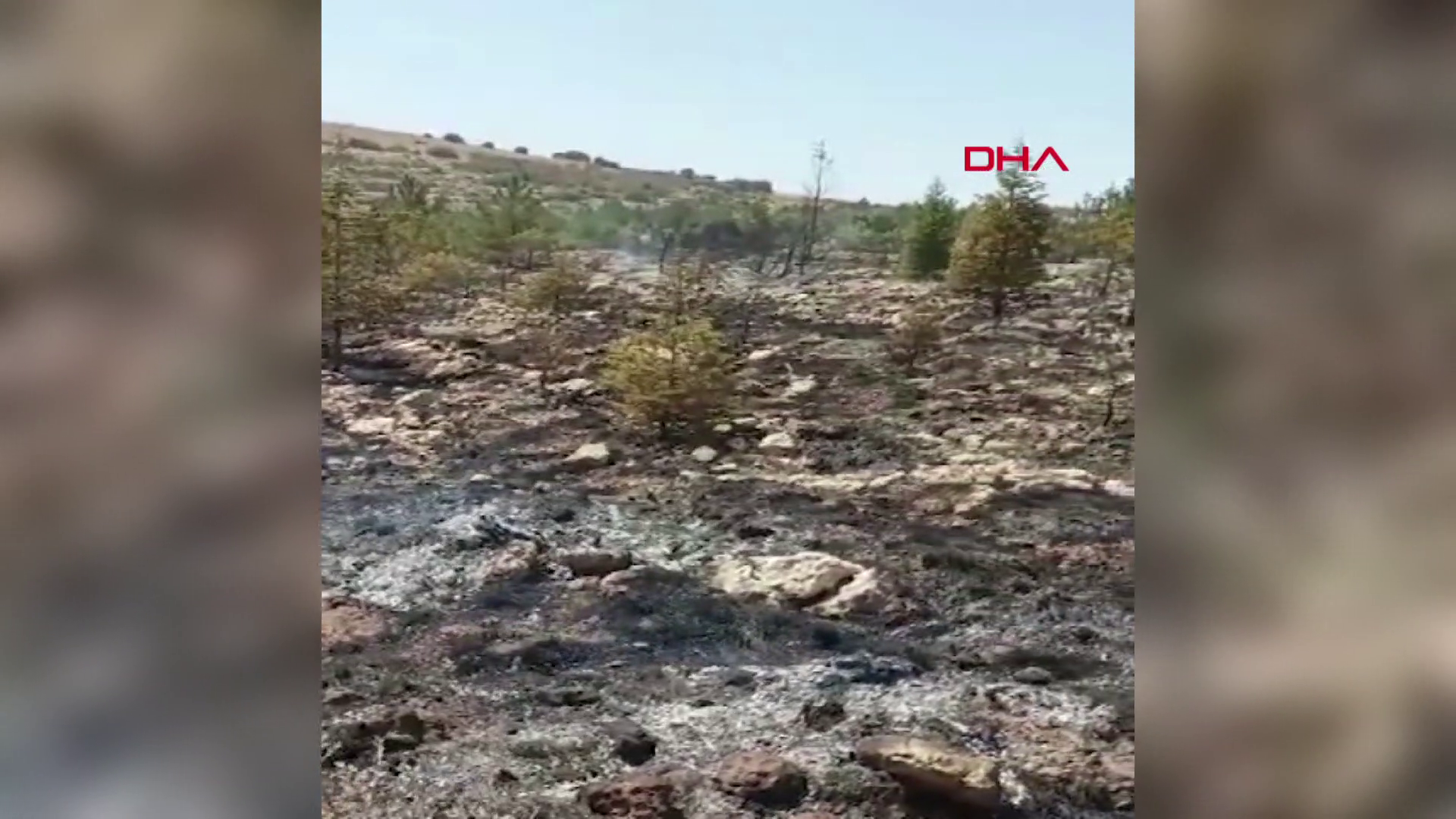 Uyarılara rağmen önüne geçilemiyor!