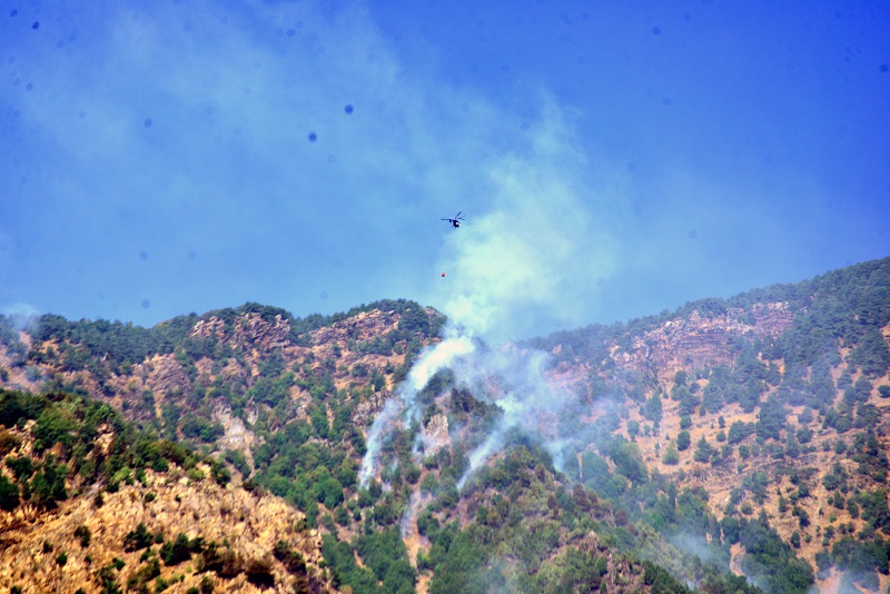 Hatay'daki orman yangını ikinci gününde