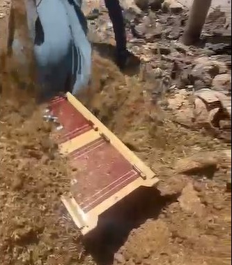 Amcalarının altın kasasını çaldılar