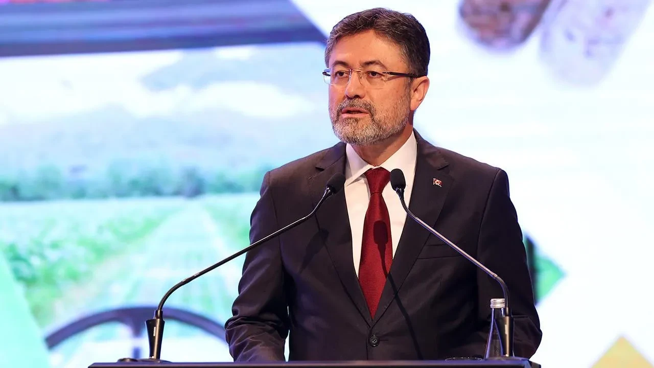 Orman yangınlarından etkilenen alanlarda av yasağı