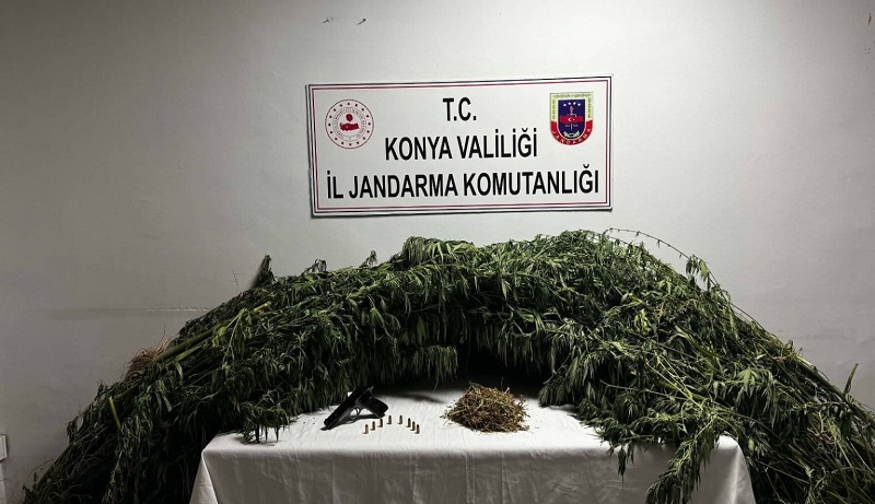 Mısır tarlasından uyuşturucu çıktı