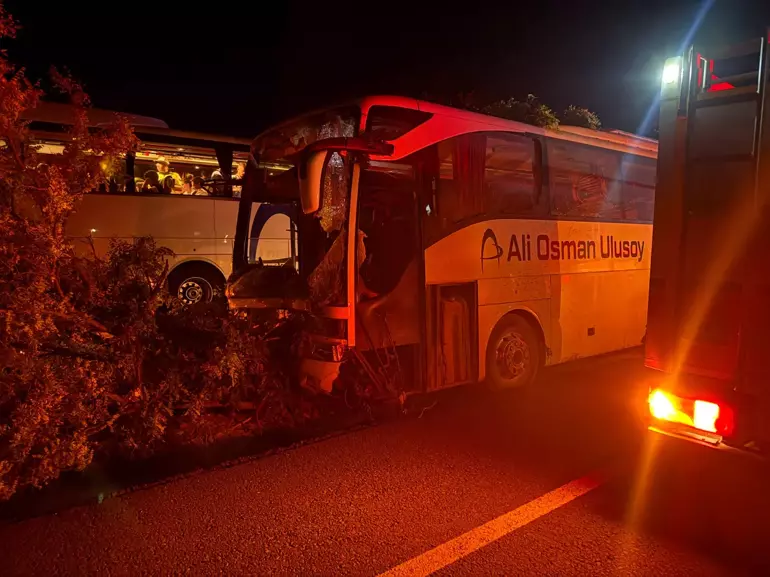 Yolcu otobüsü refüjdeki ağaçlara çarptı