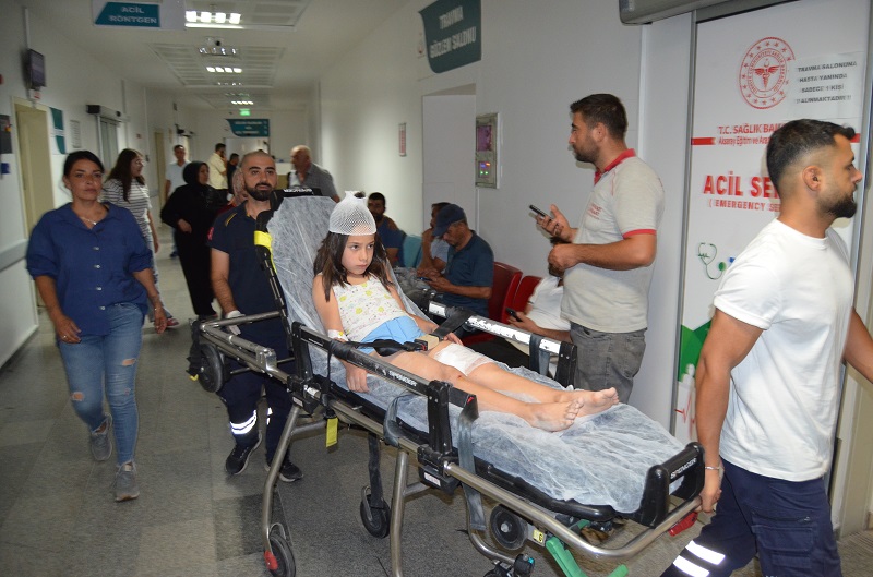 Düğüne giderken köpek saldırdı