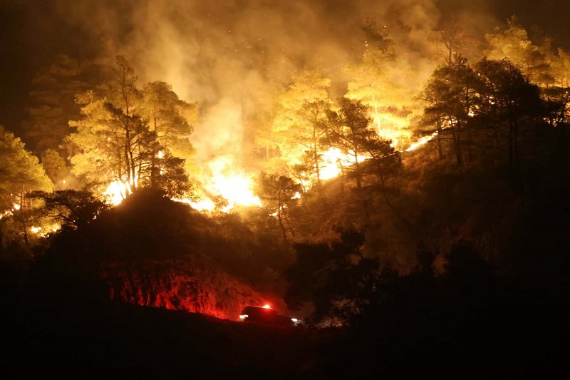 Aydın'daki orman yangını 4'üncü gününde