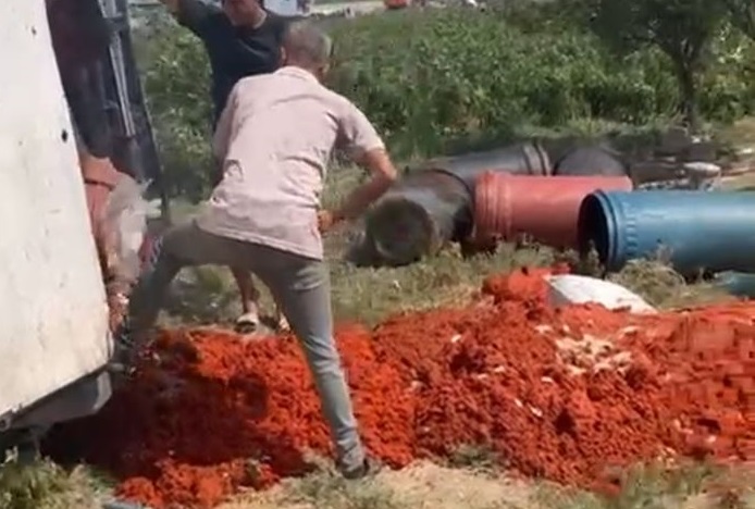 6 ton domates posası imha edildi