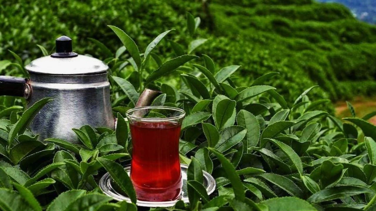 Ünlü markada boya skandalı!