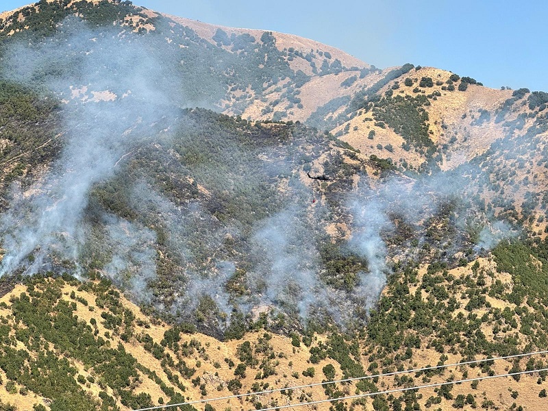 Hakkari'de orman yangını