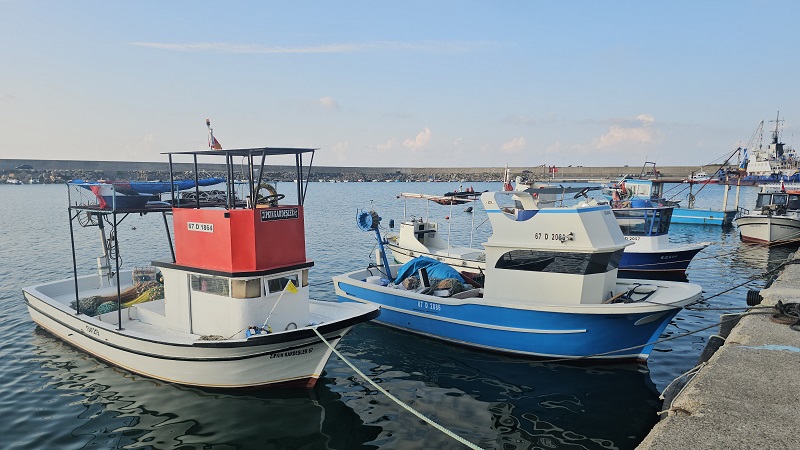 Zonguldak’ta balıkçılar boş dönüyor