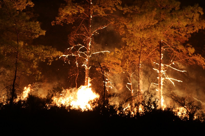 Alanya'daki orman yangınında 3'üncü gün