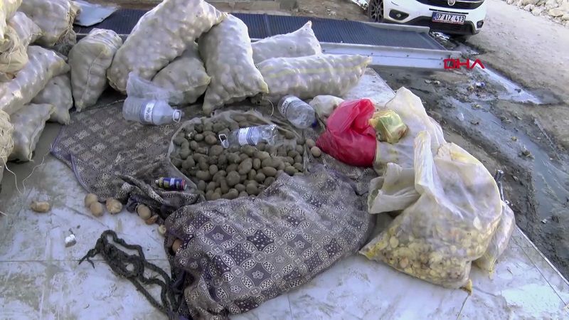 1,5 ton patates imha edildi