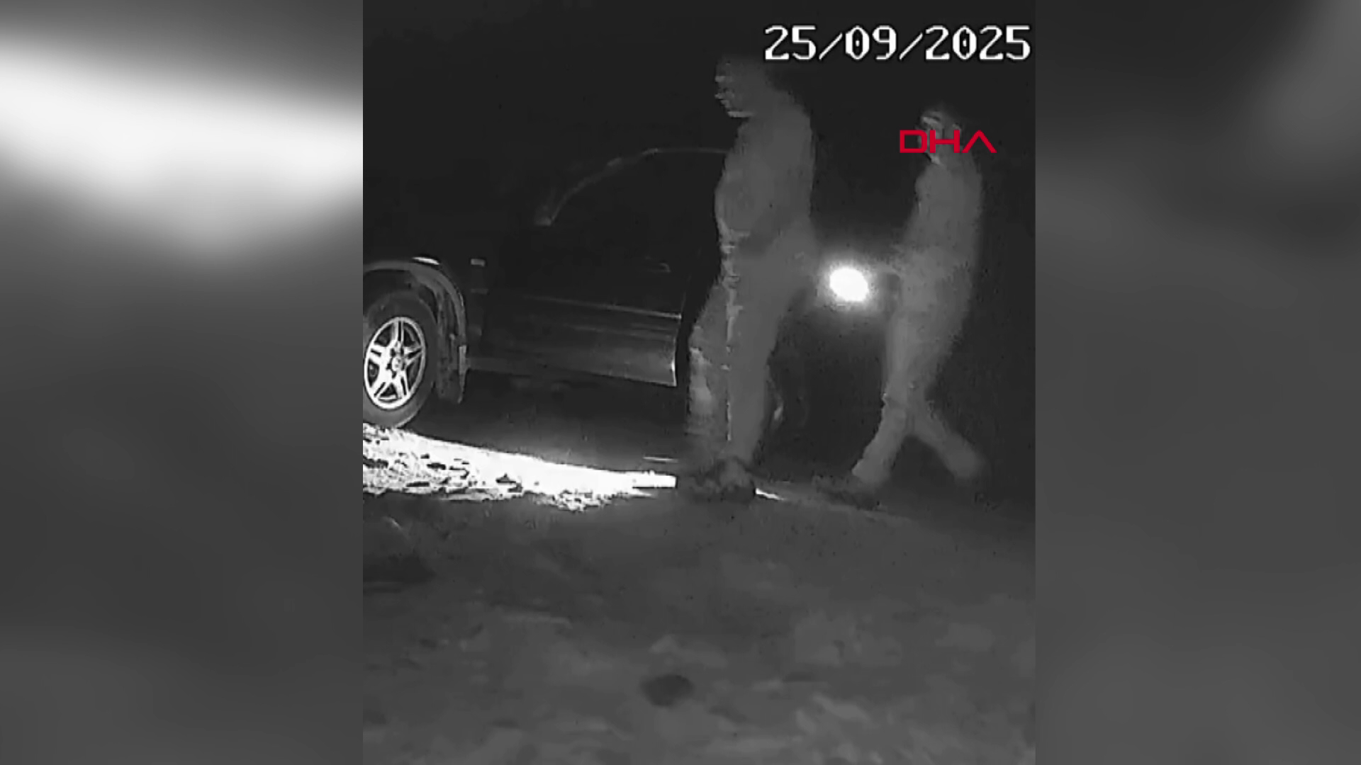 Bozayı vuran kaçak avcılara ceza