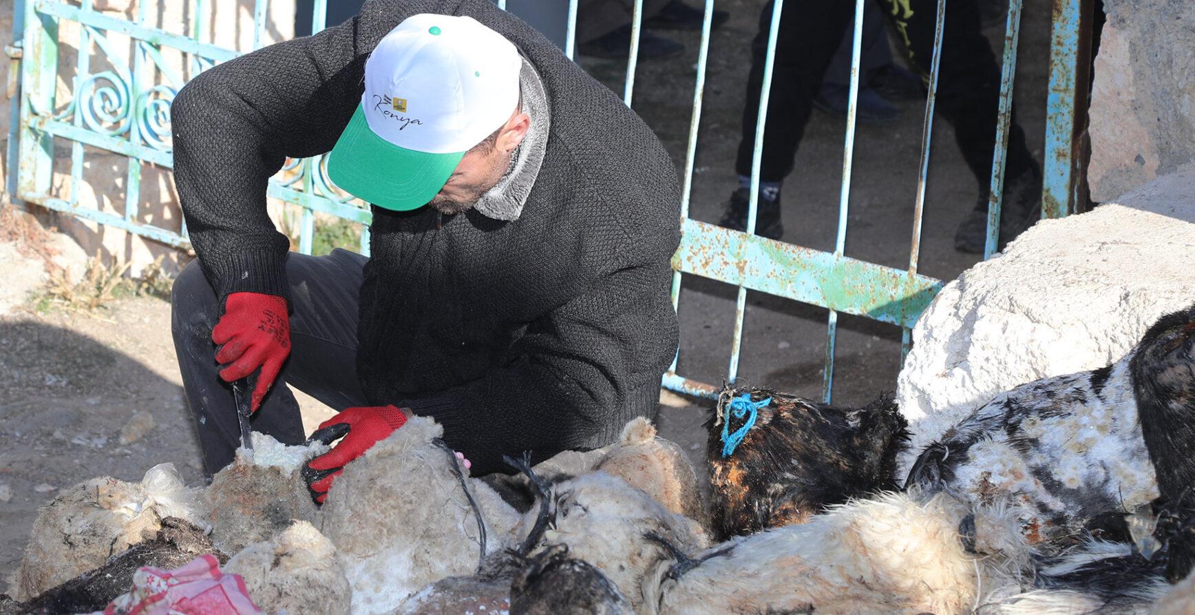 Kızılören’de mağaradan peynir çıkarma geleneği yaşatılıyor