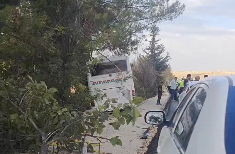 Adıyaman'da feci kaza