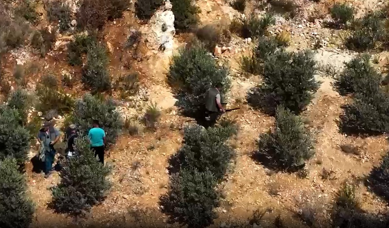 Dronla tespit edilen kaçak avcılar yakalandı