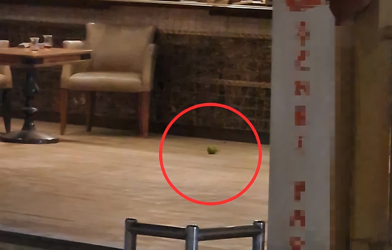 Pastaneye pimi çekilmemiş el bombası attı