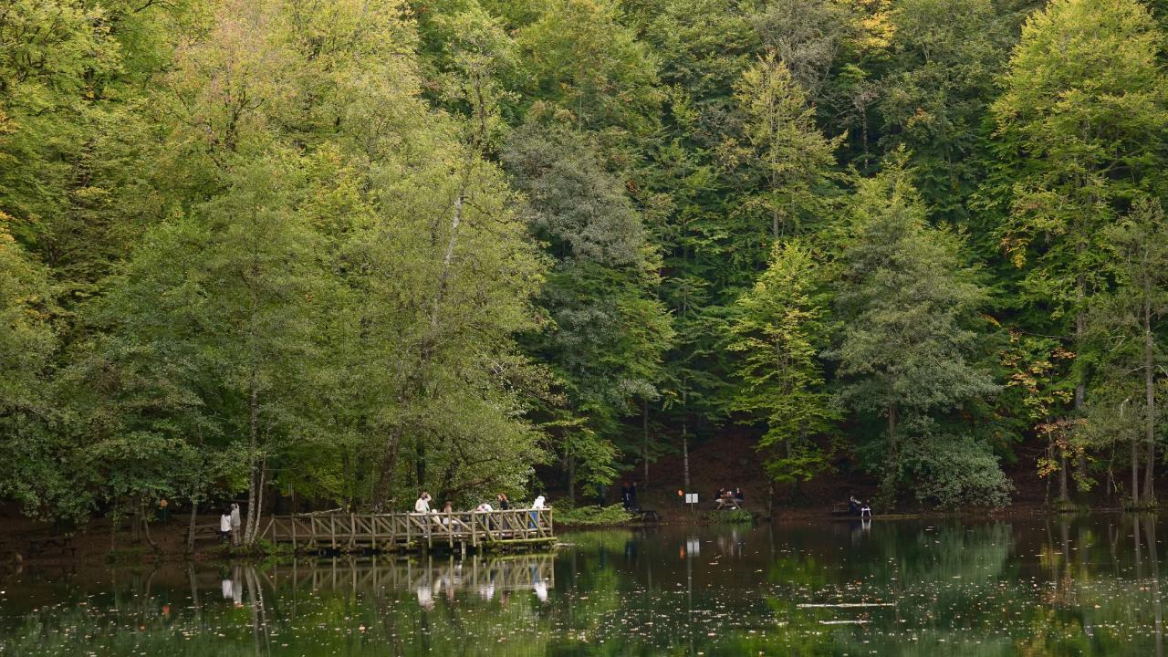 Milli parkı kirletene hapis geliyor