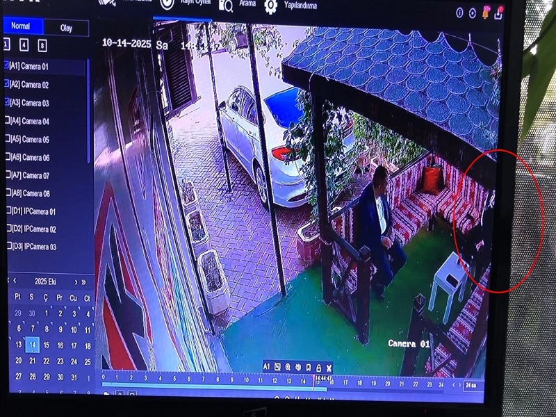 Gazeteciyi vuran şüpheli yakalandı
