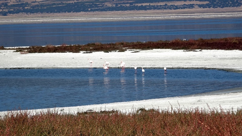 Tüm göller risk altında