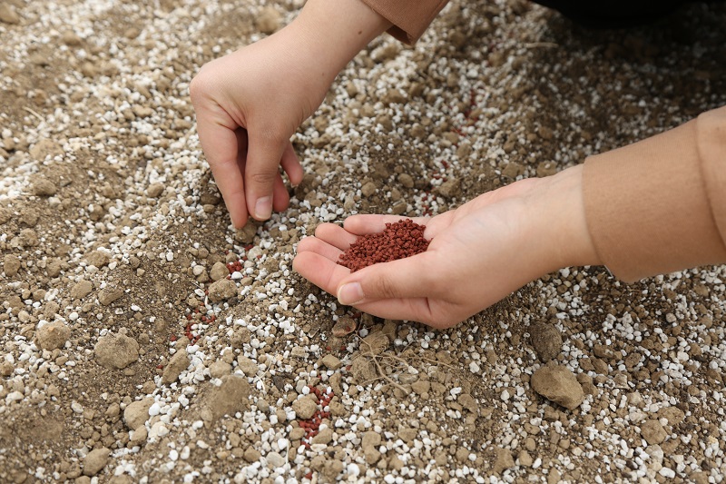 Konya Şeker'den Türk tarımına büyük katkı
