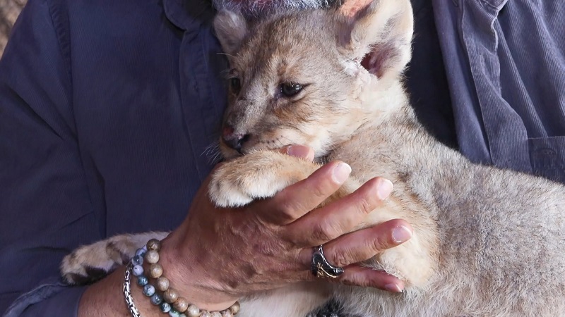 Artık vatanı Türkiye