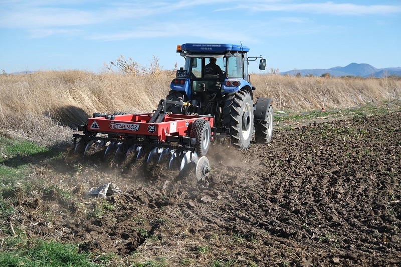Belediye arpa buğday ekiyor