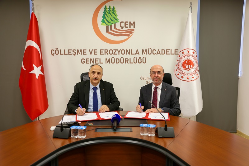 Karbon yutak alanları oluşturulacak