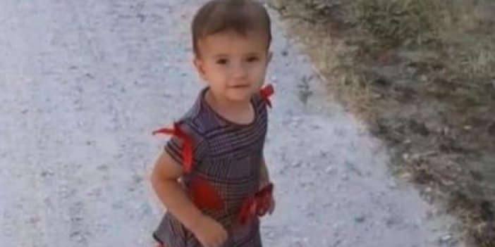 2 yaşındaki Hayrunnisa'nın feci ölümü
