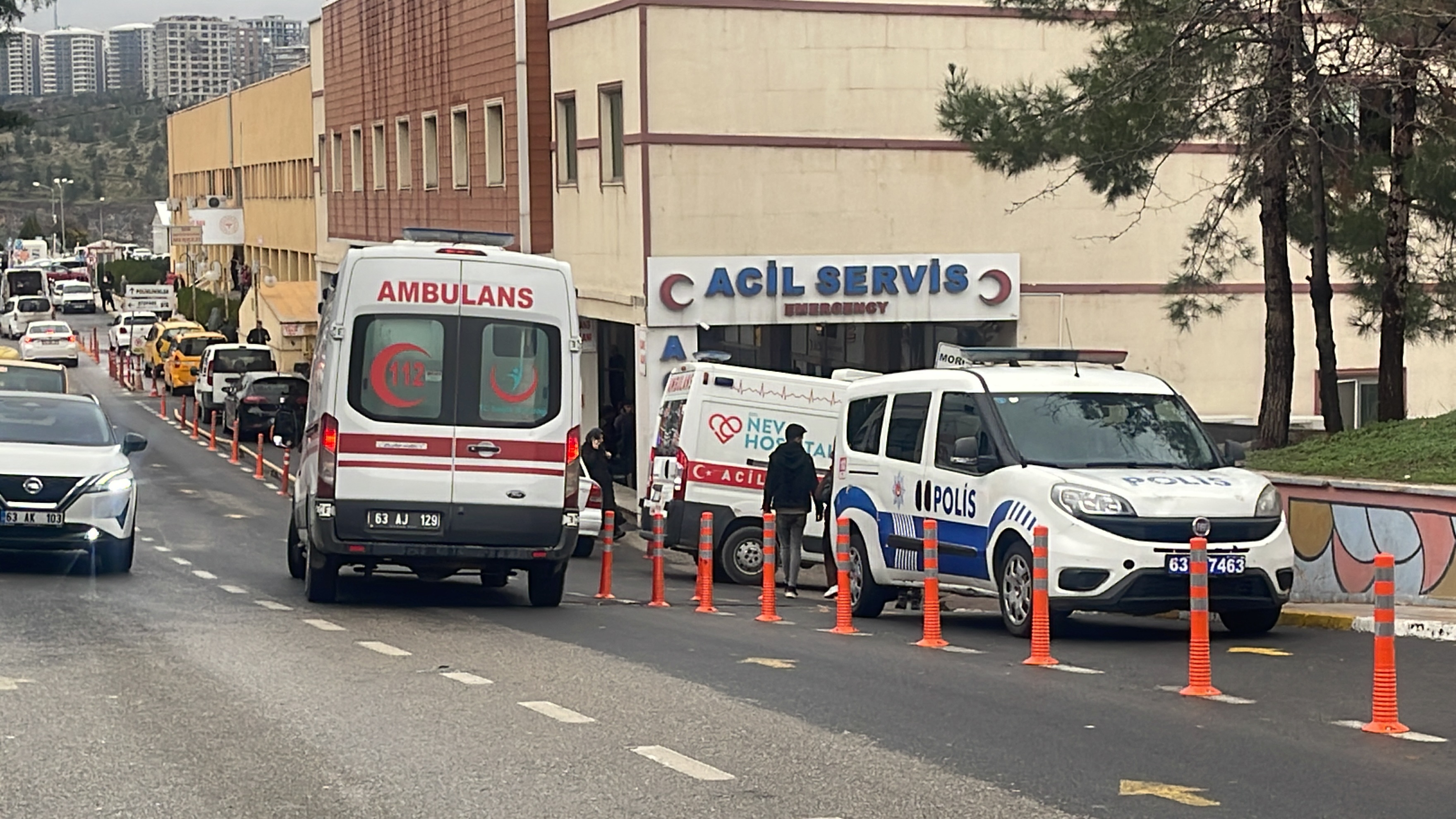 Pamuk biçme makinesine kapıldı