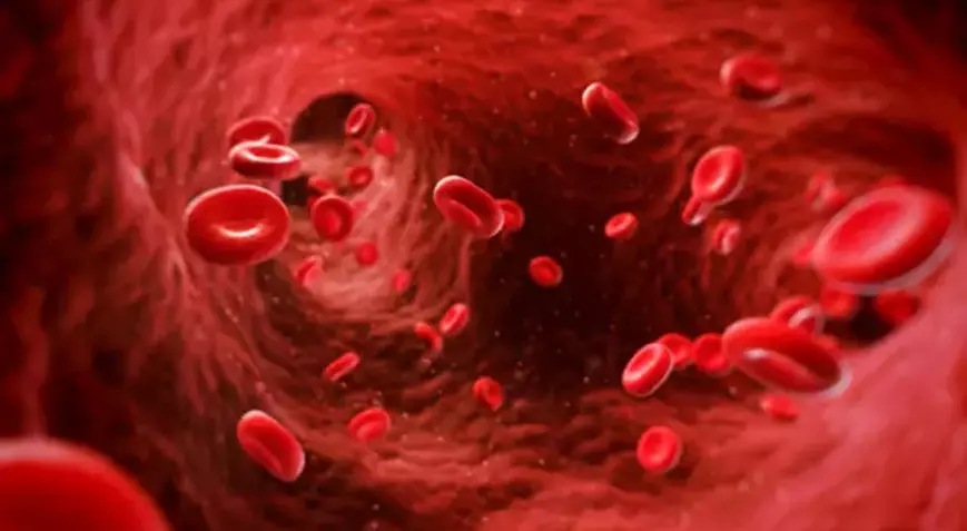 50 yaş üstünde bu hastalıklar arttı