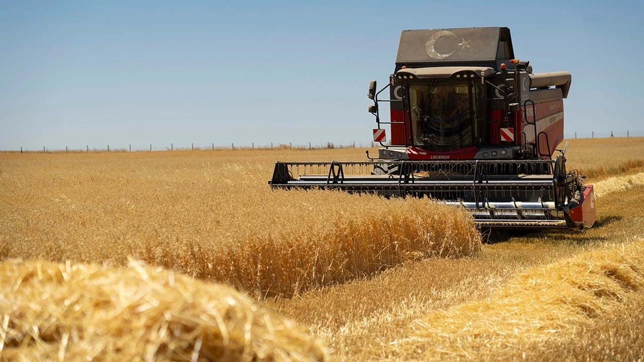 Tarım ürünleri üretici fiyatları ekimde arttı