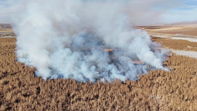 Gölde sazlık yangını