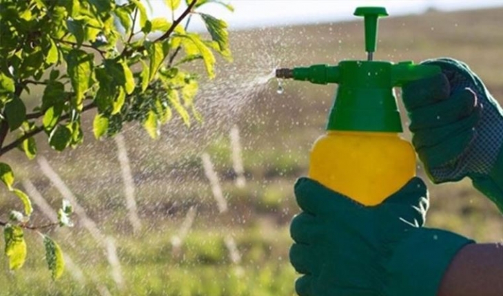 Gıda zehirlenmelerinin önüne nasıl geçilecek?