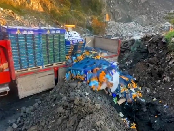 6 ton mandalina imha edildi