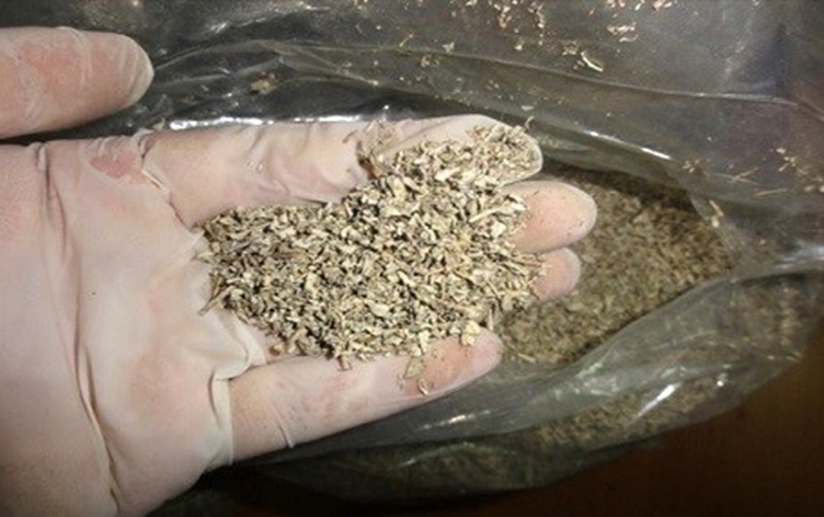 En çok ölüme sebep olan uyuşturucu; bonzai