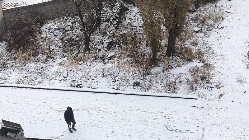 Kars'a mevsimin ilk karı düştü
