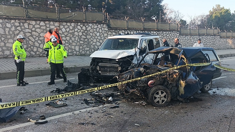 Yola çıkan kedi kazaya neden oldu