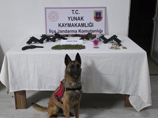Jandarma'dan uyuşturucu operasyonu