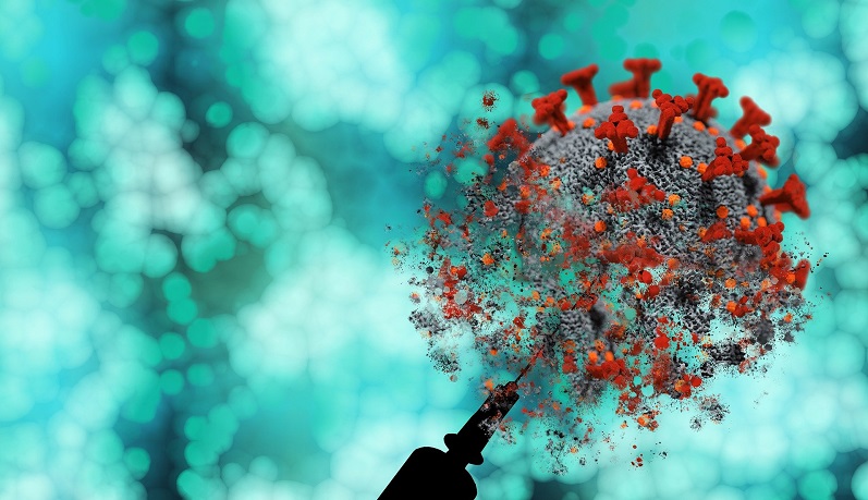 Maymun çiçeği virüsünün yeni bir varyantı tespit edildi