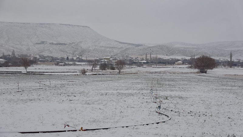 Yağan kar çiftçinin yüzünü güldürdü