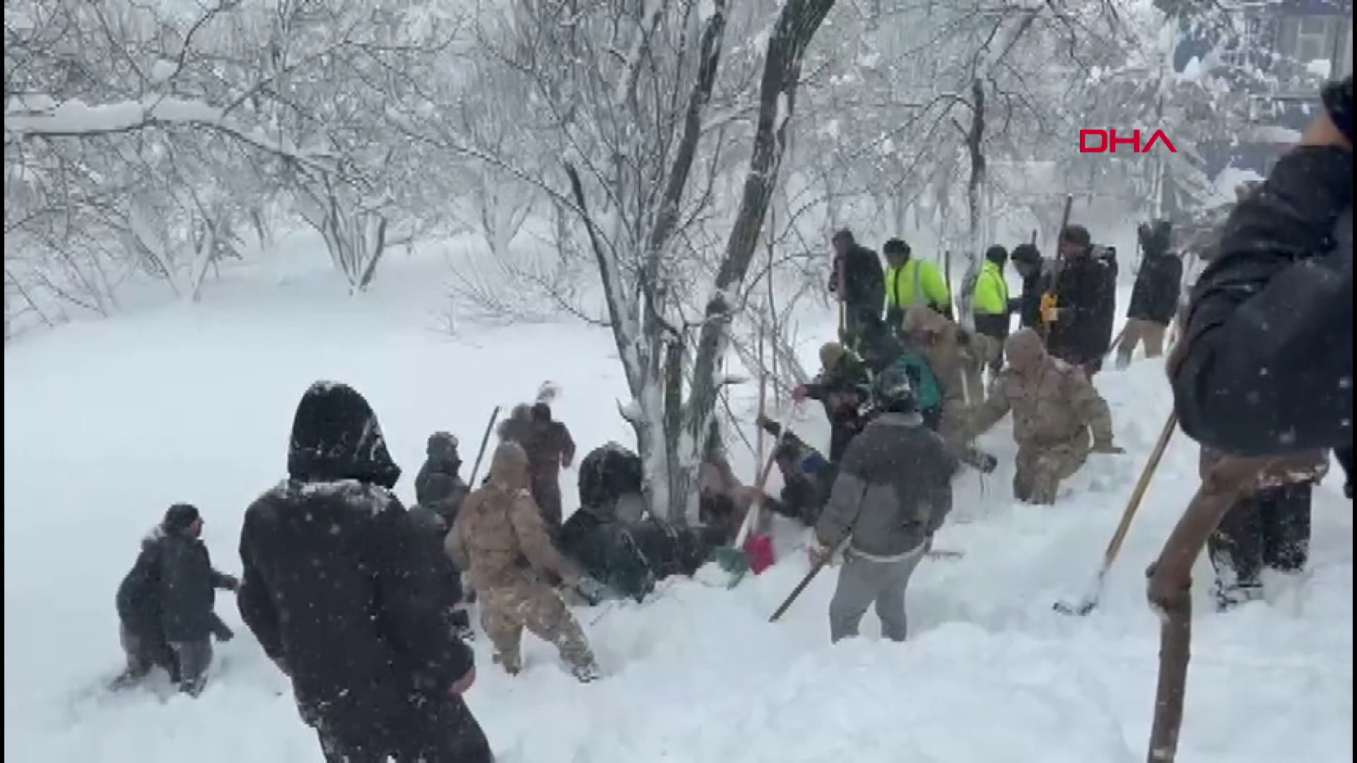 Van'da çığ düştü