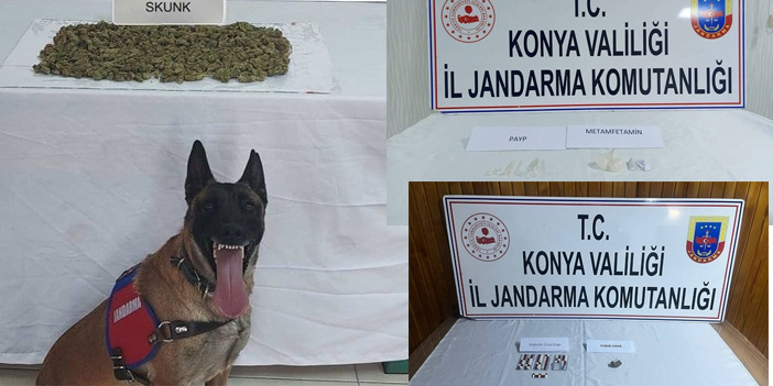 Jandarma'dan uyuşturucu operasyonları