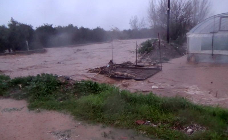 Antalya'da tarım alanlarını su bastı