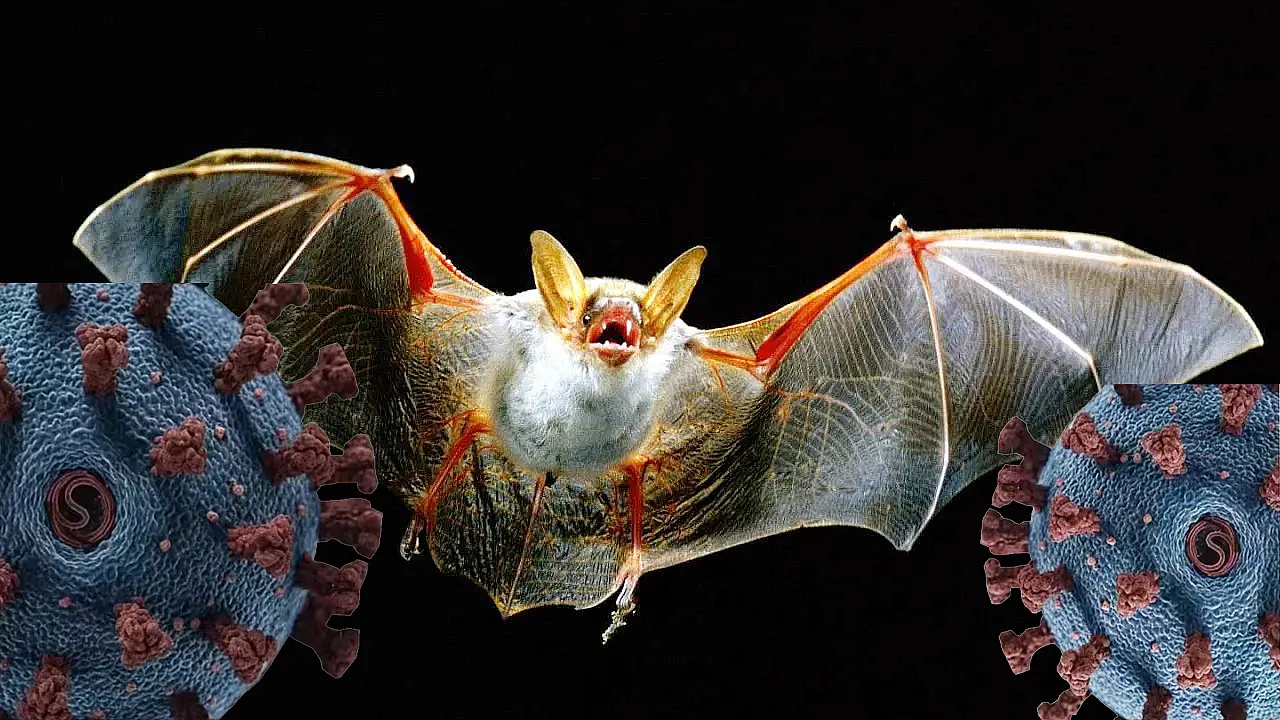 Bu sefer de Hindistan virüsü çıktı!