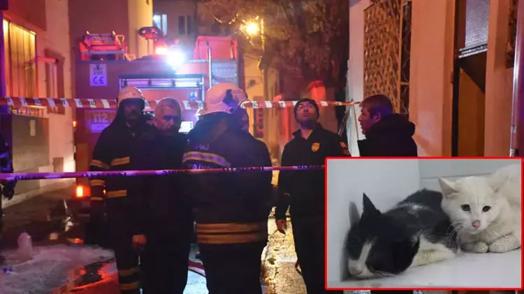 Kedilerin beslendiği evde yangın