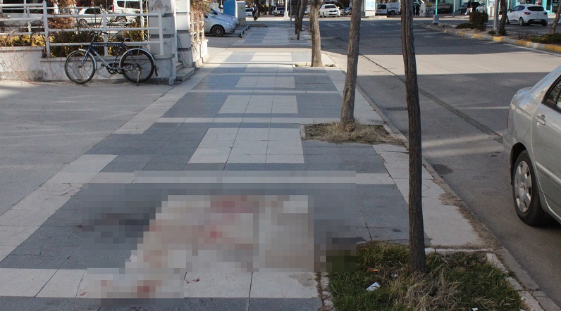 Aksaray'da akran cinayeti!