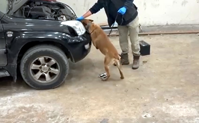 Otomobilde 8 kilo 60 gram kokain ele geçirildi