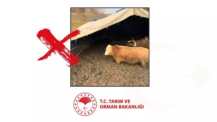 İşletmede hayvanlara kötü muameleye ceza