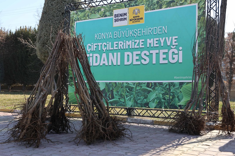 Konya Büyükşehir fidan dağıtımına başladı