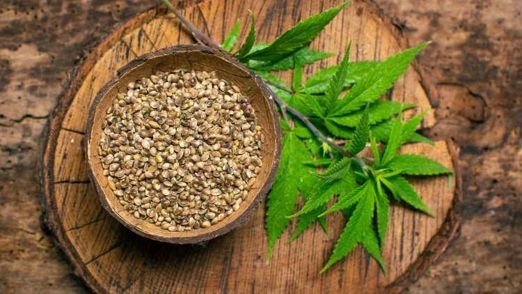 Konya bu alanda merkez olabilir